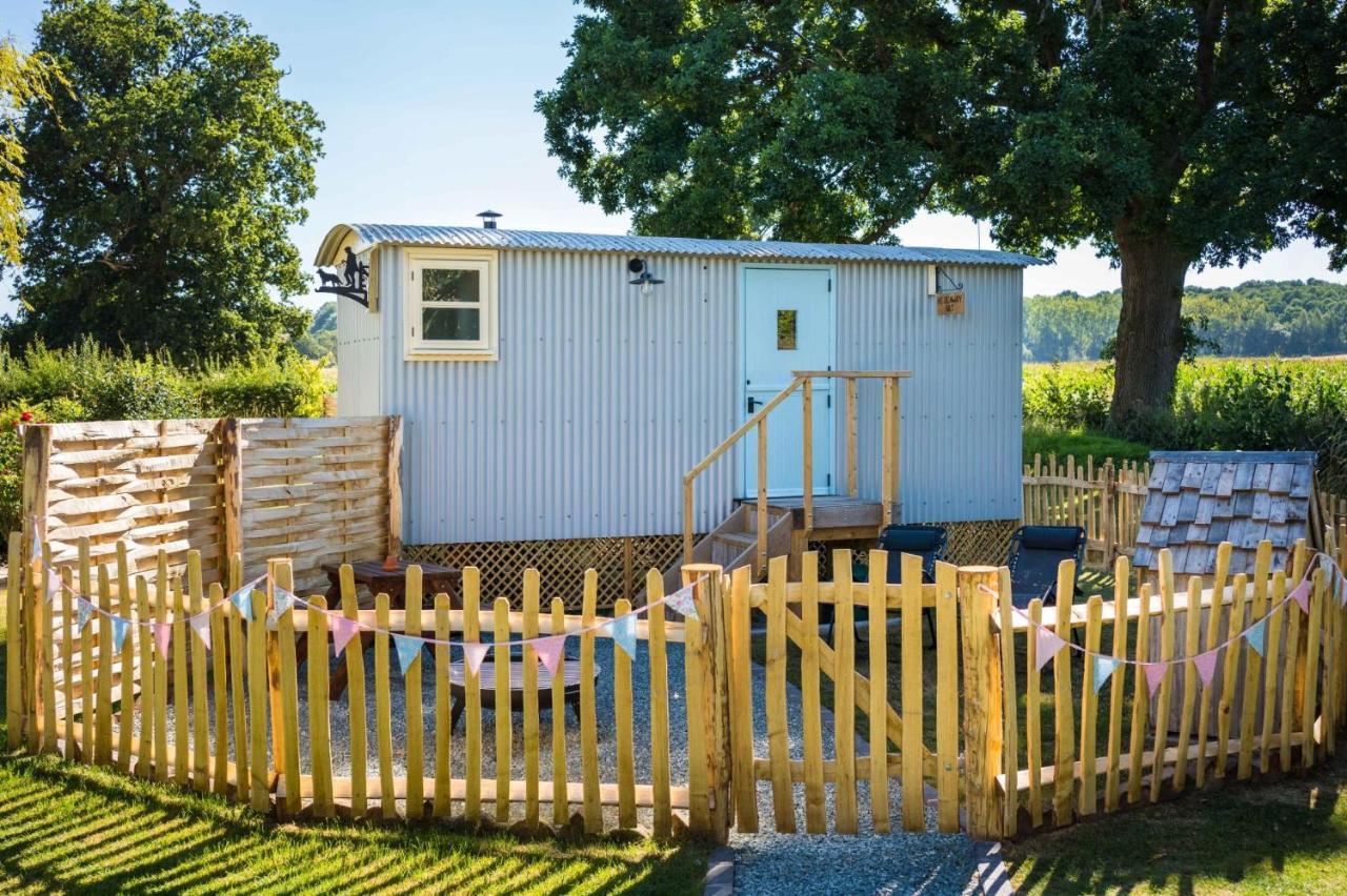 The Hideaway Hut - 1 Bed Shepherds Hut - Hereford Lägenhet Exteriör bild